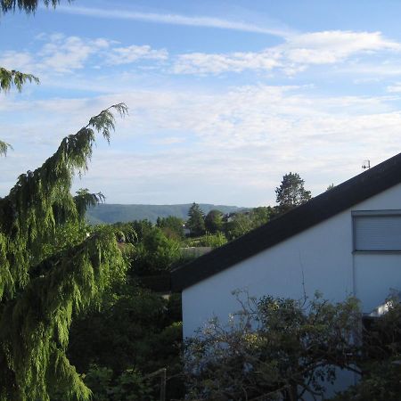 Apartmán Haus Am Weinberg Erzingen Exteriér fotografie
