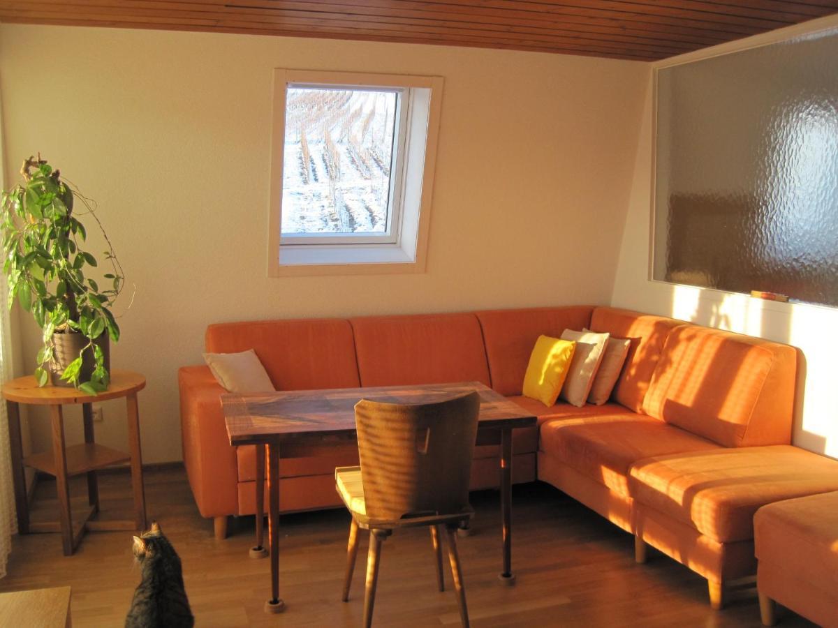 Apartmán Haus Am Weinberg Erzingen Exteriér fotografie