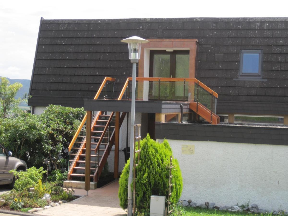 Apartmán Haus Am Weinberg Erzingen Exteriér fotografie