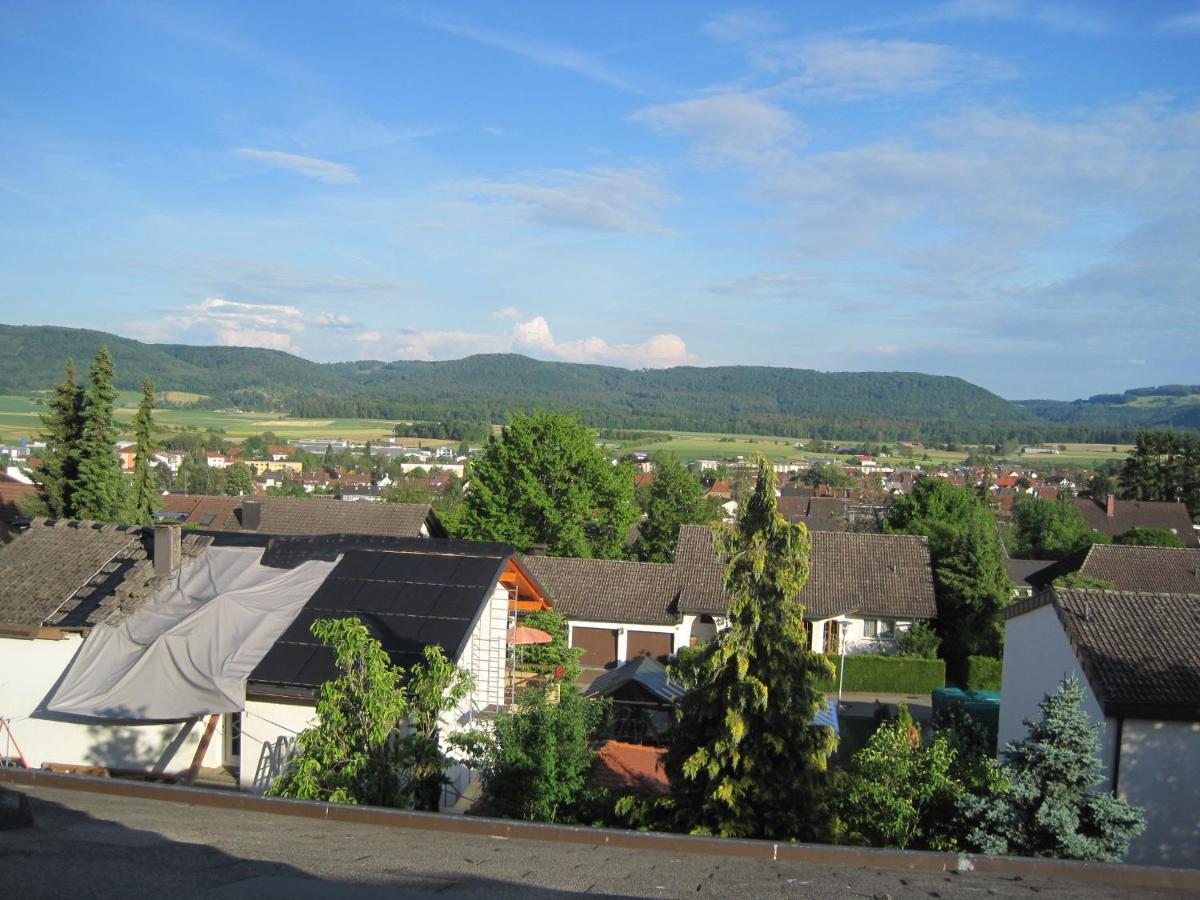Apartmán Haus Am Weinberg Erzingen Exteriér fotografie